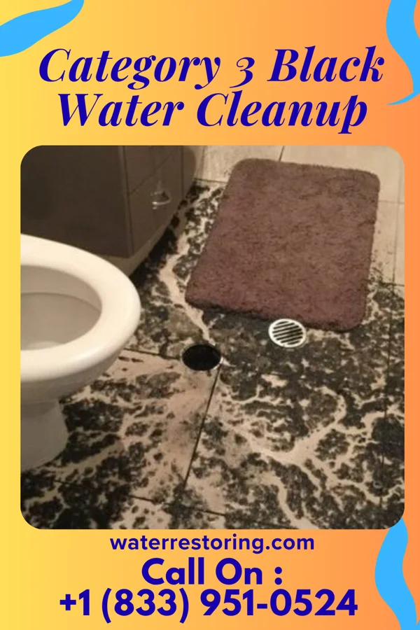 Category 3 Black Water Cleanup in Midland, SD