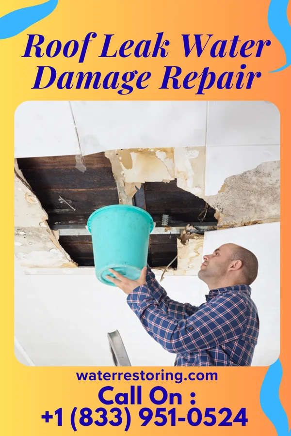Roof Leak Water Damage Repair in Midland, SD